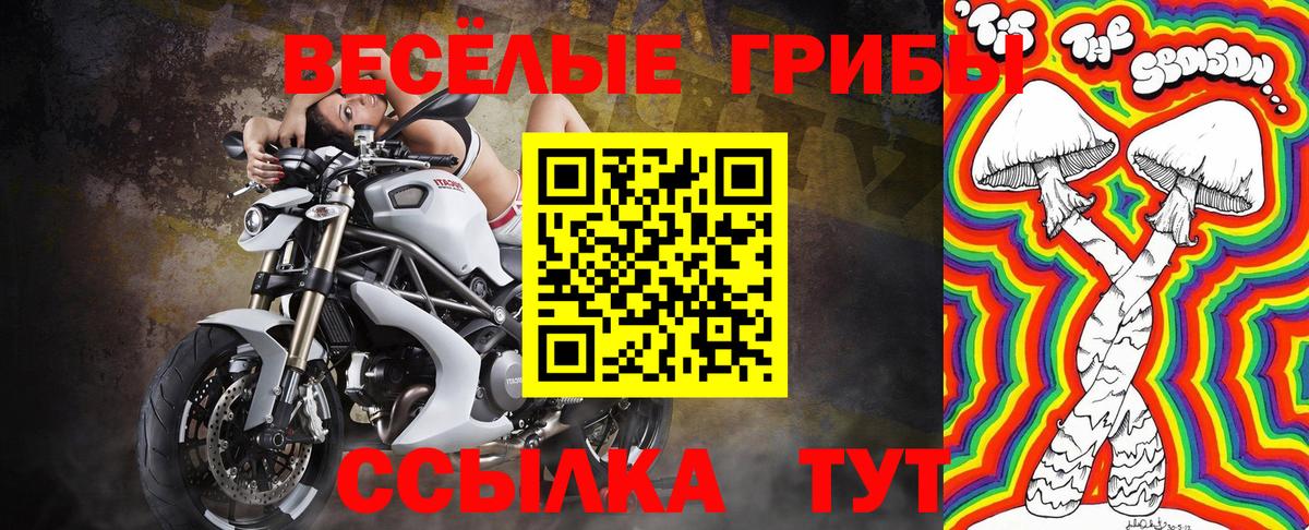 Псилоцибиновые грибы мицелий  Галлюциногенные грибы мицелий  Киселёвск  Вход с VPN 